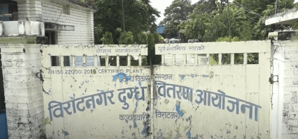 पूर्वका दुग्ध कृषकलाई करिब ११ करोड रुपैयाँभन्दा बढी भुक्तानी गर्न बाँकी