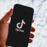 टिकटकबाट महिलालाई लोभ देखाइ ठगी गर्ने युवक पक्राउ