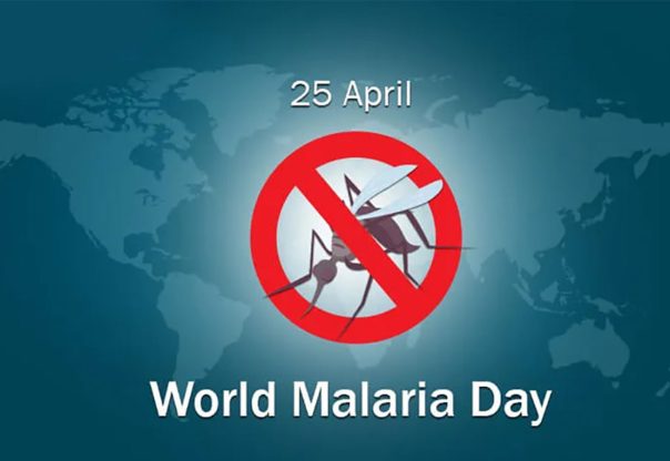 विश्व औलो दिवस आज मनाइदै