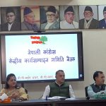 काँग्रेसको केन्द्रीय कार्यसम्पादन समितिको बैठकले के के निर्णय गर्यो ? काँग्रेसको केन्द्रीय कार्यसम्पादन समितिको बैठकले के के निर्णय गर्यो ?