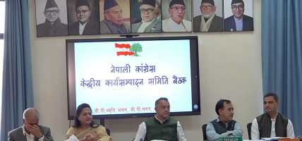 काँग्रेसको केन्द्रीय कार्यसम्पादन समितिको बैठकले के के निर्णय गर्यो ? काँग्रेसको केन्द्रीय कार्यसम्पादन समितिको बैठकले के के निर्णय गर्यो ?