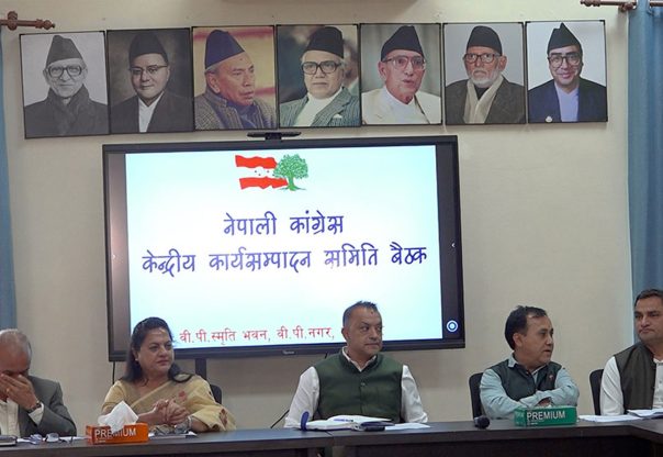 काँग्रेसको केन्द्रीय कार्यसम्पादन समितिको बैठकले के के निर्णय गर्यो ?