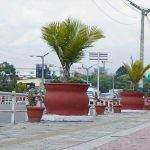 सहरलाई सुन्दर बनाउन सडक किनारामा गमलामा फूल रोप्दै काठमाडौँ महानगर