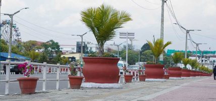 सहरलाई सुन्दर बनाउन सडक किनारामा गमलामा फूल रोप्दै काठमाडौँ महानगर