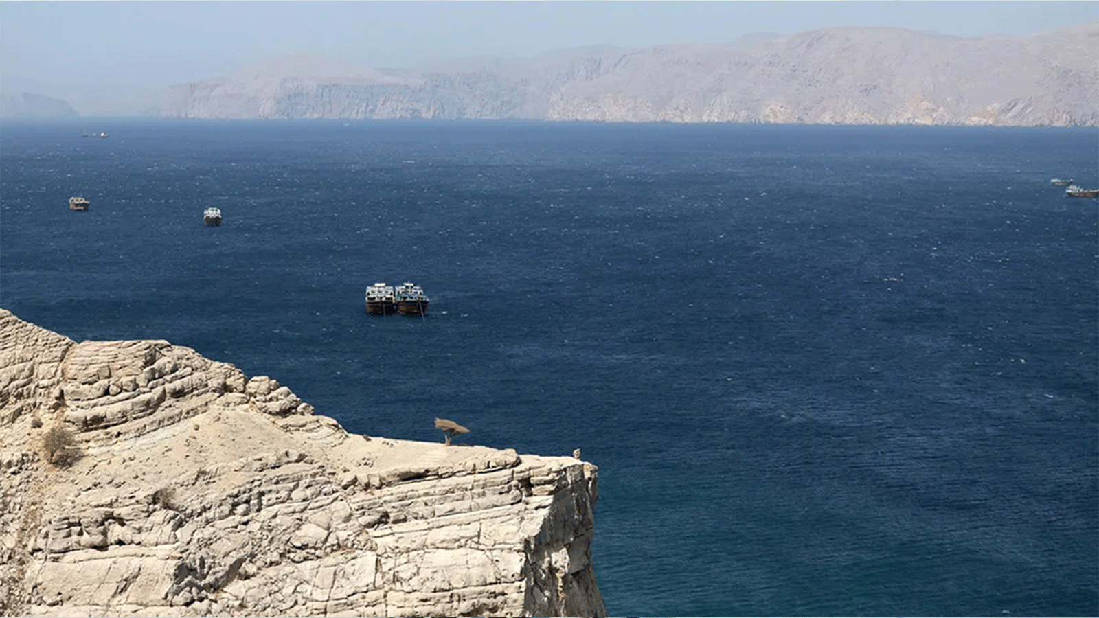 होर्मुजमा भारतीय जहाजमा इरानको गोली प्रहार, राजदुत समन