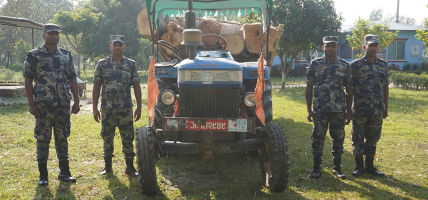 झापा र सर्लाहीबाट ८ लाखभन्दा बढी मुल्यको काठ बरामद