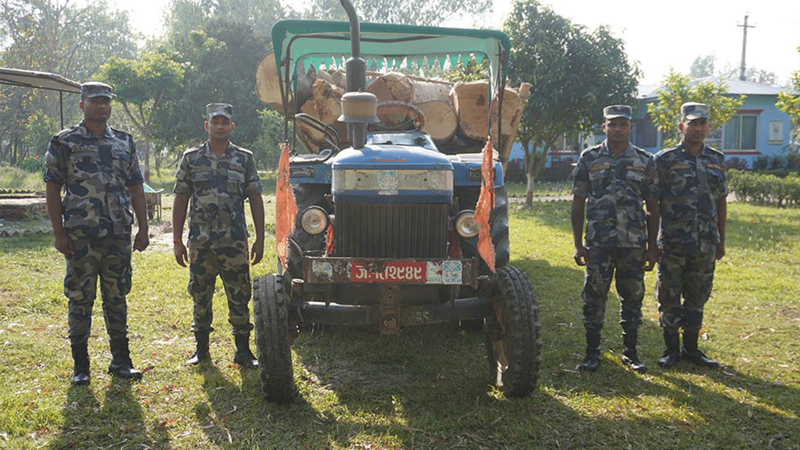 झापा र सर्लाहीबाट ८ लाखभन्दा बढी मुल्यको काठ बरामद