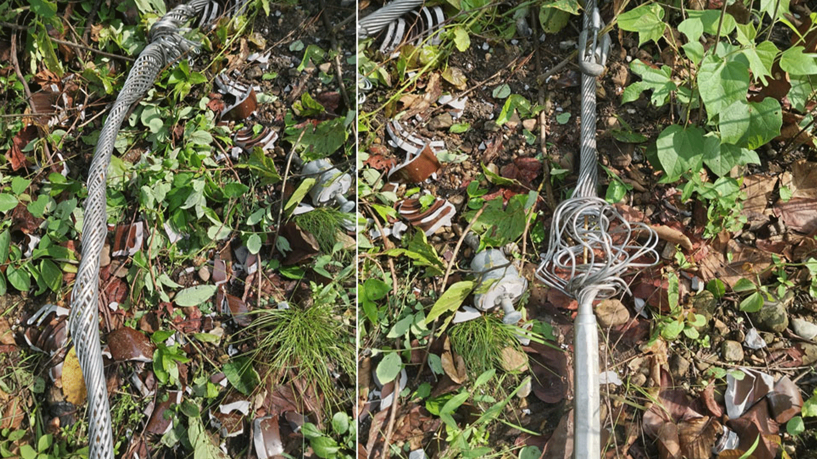 हुरीले रुख ढाल्दा विद्युतमा ट्रिपिङ र भोल्टेज समस्या, मर्मत तीव्र पारिरहेको प्राधिकरणको भनाइ