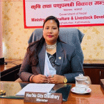 प्रमुख बालीको न्यूनतम समर्थन मूल्य निर्देशिका जारी, बाली रोप्नु अगावै मूल्यबारे जानकारी पाइने
