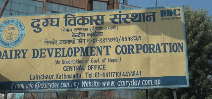 डिडिसीले गर्‍यो दूध किसानलाई १२ करोड भुक्तानी