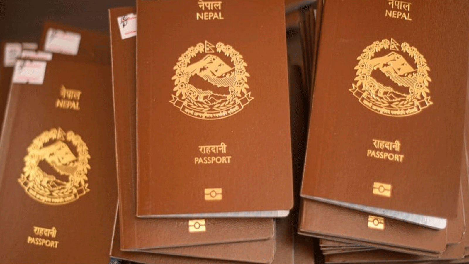 कम्बोडियामा भिसा अवधि सकिएका नेपालीलाई एक हप्ताभित्र स्वदेश फर्किन राजदूतावासको आग्रह कम्बोडियामा भिसा अवधि सकिएका नेपालीलाई एक हप्ताभित्र स्वदेश फर्किन राजदूतावासको आग्रह