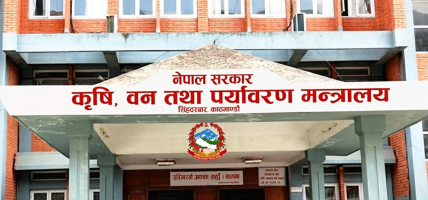 चैते धानको न्यूनतम समर्थन मूल्य कार्यान्वयन गर्न कृषि मन्त्रालयको आग्रह