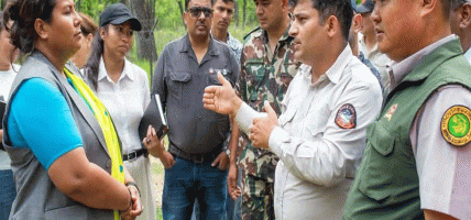 देवनगरमा ५० हेक्टरको ‘टाइगर सेन्चुरी’ बनाएर समस्याग्रस्त बाघ व्यवस्थापन गर्ने सरकारको तयारी