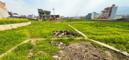 धरान कृषि उपज बजारको जग्गा खाली गर्न कृषि विभागको निर्देशन