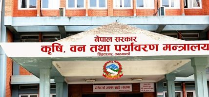 सुदूपश्चिम प्रदेशका २६ पालिकाले उठाएनन् रासायनिक मल