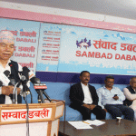 ‘संविधान संशोधन’ कार्यदल अवैधानिक रहेको दाबी, पुनर्लेखनको प्रयास नगर्न सरकारलाई चेतावनी