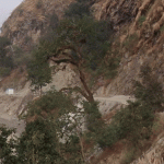 रसुवागढी सडकखण्डमा रातिको सवारी सञ्चालनमा रोक