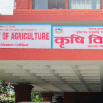 बीउ उत्पादन कार्यक्रम ५८ स्थानीय तहमा सञ्चालन