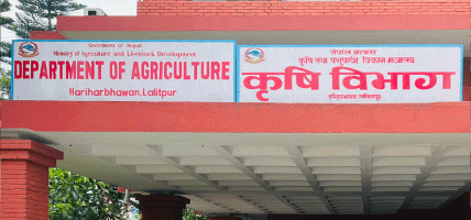बीउ उत्पादन कार्यक्रम ५८ स्थानीय तहमा सञ्चालन