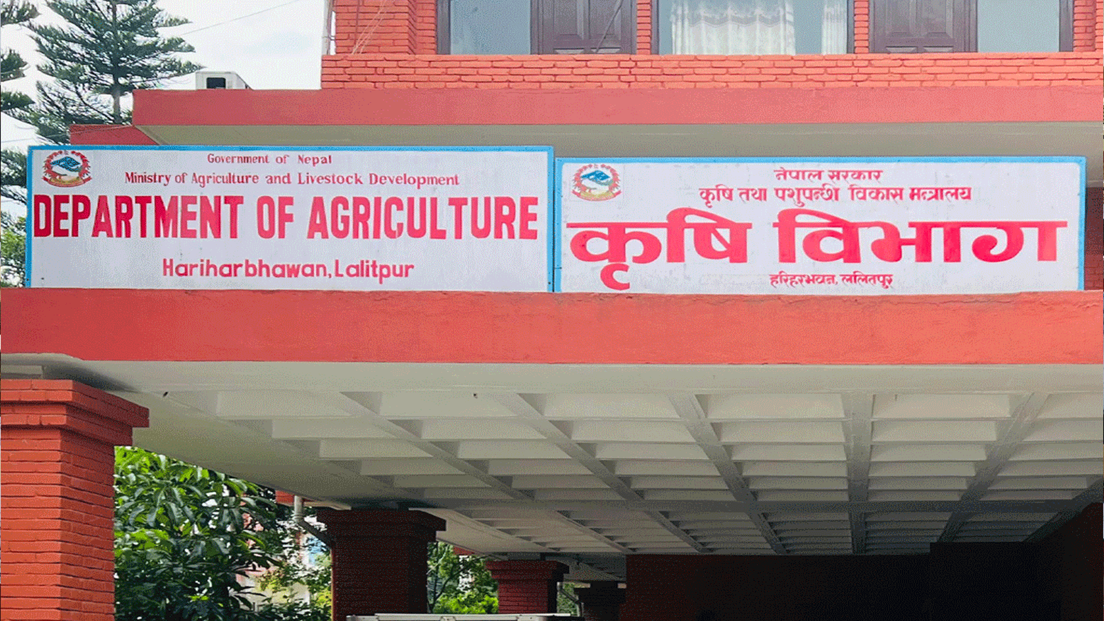 बीउ उत्पादन कार्यक्रम ५८ स्थानीय तहमा सञ्चालन बीउ उत्पादन कार्यक्रम ५८ स्थानीय तहमा सञ्चालन