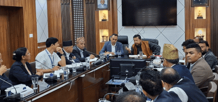साउन दोस्रो साताभित्र काठमाडौँका अव्यवस्थित तार व्यवस्थापन गर्न सम्बन्धित निकायलाई निर्देशन