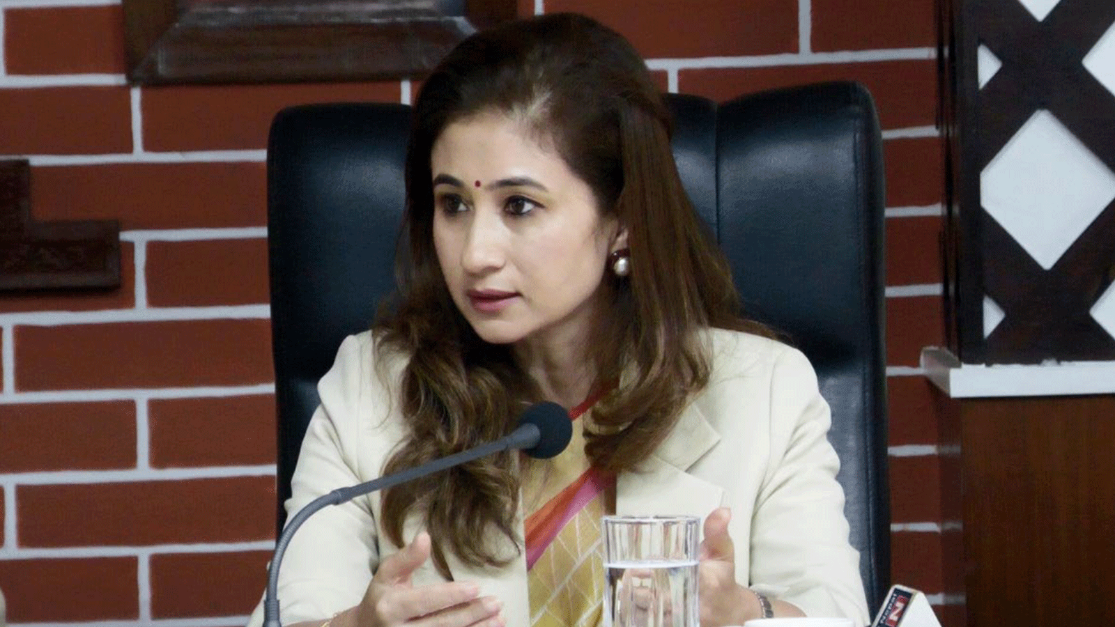 सरकार र निजी क्षेत्रबिच सिधा समन्वयका लागि छुट्टै कार्यदल आवश्यक: राणा