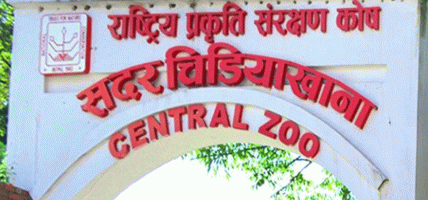 बर्डफ्लु नियन्त्रणपछि ललितपुरको जावलाखेलस्थित सदर चिडियाखाना आजदेखि पुनः खुला