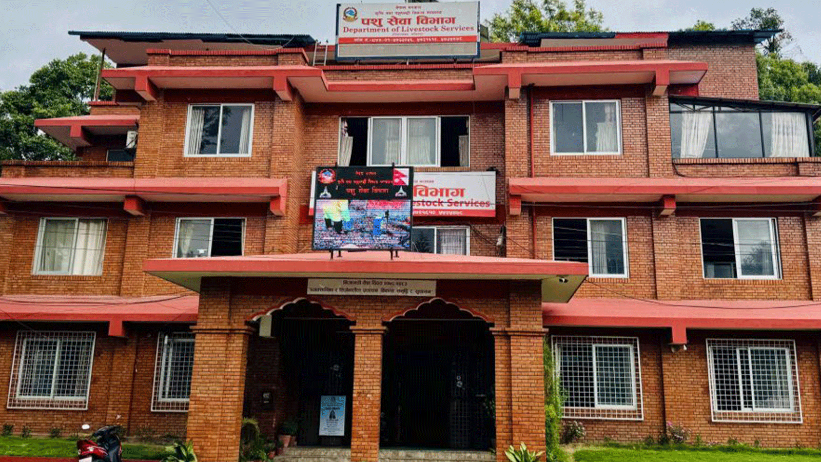 पशु सेवा विभागले भन्यो, ‘१ साउनयता देशको कुनै पनि स्थानमा बर्डफ्लुको नयाँ संक्रमण देखिएको छैन’