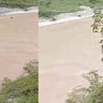 यात्रुबाहक माइक्रो गाडी कर्णाली नदीमा खस्यो, उद्वार कार्य जारी