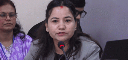 पूर्वाधार विकास समितिको कार्यसम्पादनप्रति मुख्य सचेतक थापाको असन्तुष्टि, अधिकार प्रत्यायोजन गर्न माग
