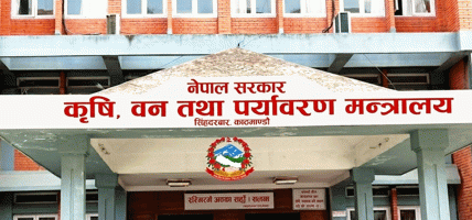 चिया तथा कफी क्षेत्रको सुधारका लागि कार्यदल गठन