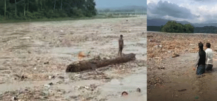भोटेकोशी–त्रिशूलीले बगाएर ल्याएका काठ उठाउन रोक, वन कार्यालयले थाल्यो निगरानी भोटेकोशी–त्रिशूलीले बगाएर ल्याएका काठ उठाउन रोक, वन कार्यालयले थाल्यो निगरानी